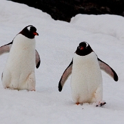 _MG_5336.jpg