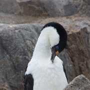 _MG_6684.jpg