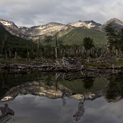 _MG_7264.jpg