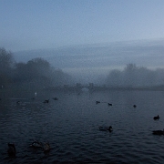 IMG_4599.jpg