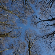 _MG_9831.jpg