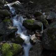 _MG_7783.jpg