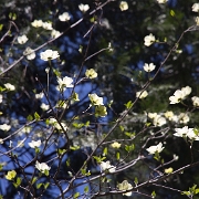 _MG_7819.jpg