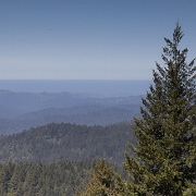 cailfornia-1.jpg
