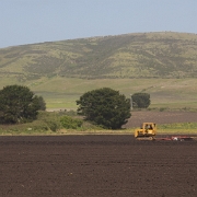 cailfornia-7.jpg