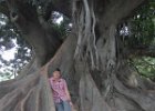 Amongst the roots of one of the massive trees that are dotted about Buenos Aires. : Arrival, Buenos Aires