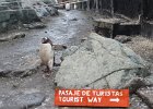 He&#39;s clearly not a tourist! : Base Brown