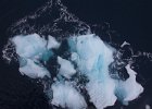 A small &#39;berg that cracked up as the ship hit it head on. : Icebergs