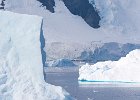 Icebergs at Neko Harbour. : Neko Harbour