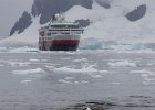 Penguin and Fram. : Danco Island