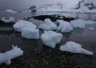 Fram and ice. : Danco Island