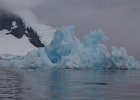 A very scuptural iceberg. : Danco Island