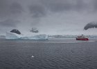 Another ship! : Neko Harbour