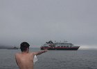 The antarctic swimmer dries off. : Whalers Bay