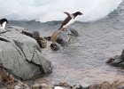 The point of no return. : Fish Islands