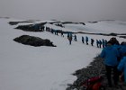 Starting our ascent. : Half Moon Island