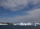 Sunlit &#39;bergs. : Horseshoe Island