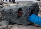 Water or wind worn rock at the summit. : Horseshoe Island