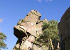 The Roaches