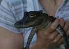 Little Victor. : Florida, Places