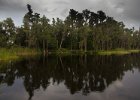 Reflections in the lake. : Florida, Places