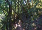 Buzzards Roost Trail.