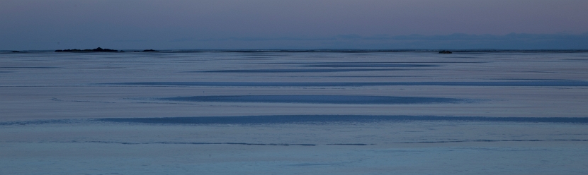 _MG_3889