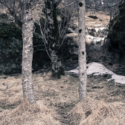 _MG_3371.jpg