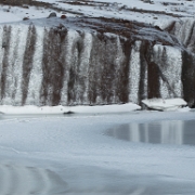 _MG_3537.jpg