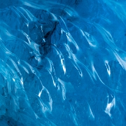 _MG_3617.jpg