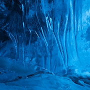 _MG_3627.jpg