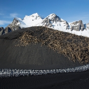 _MG_3818.jpg