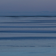 _MG_3889.jpg