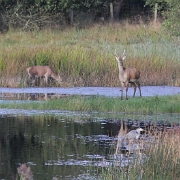 IMG_1662_edited-1.JPG