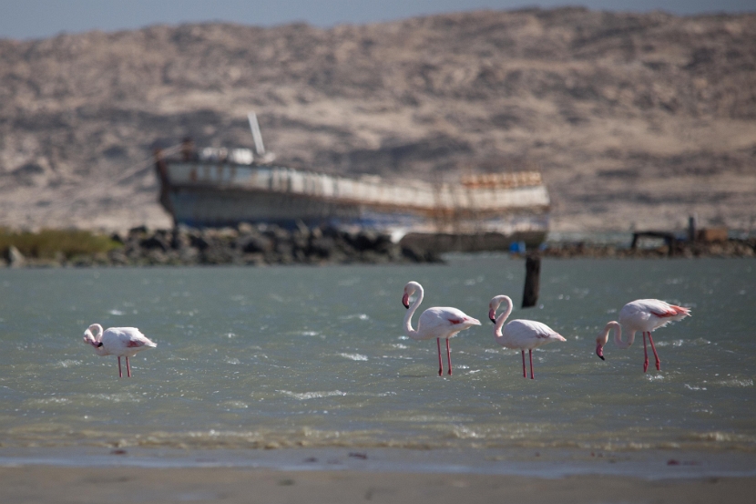 namibia-15
