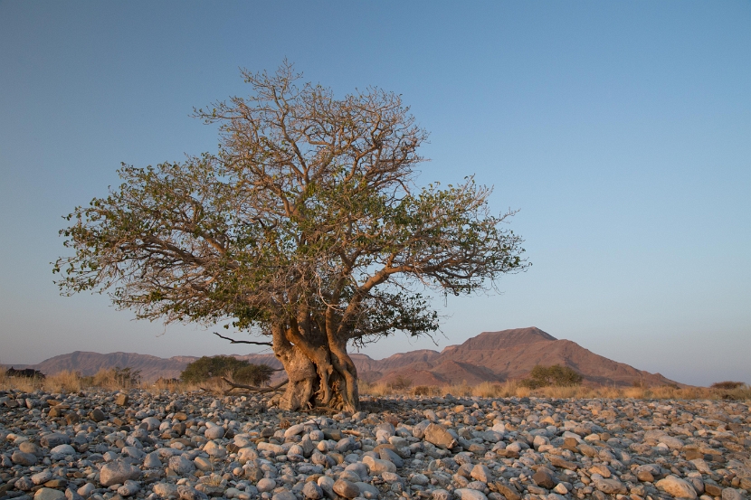 namibia-17