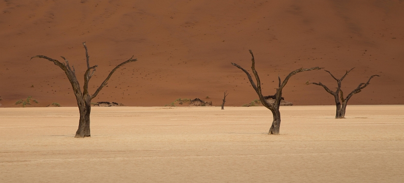 namibia-19