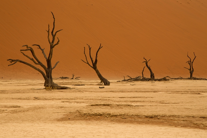 namibia-20
