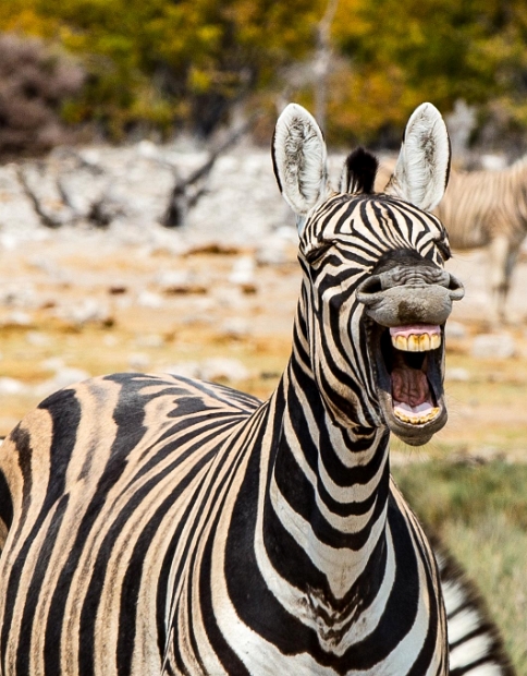 namibia-28