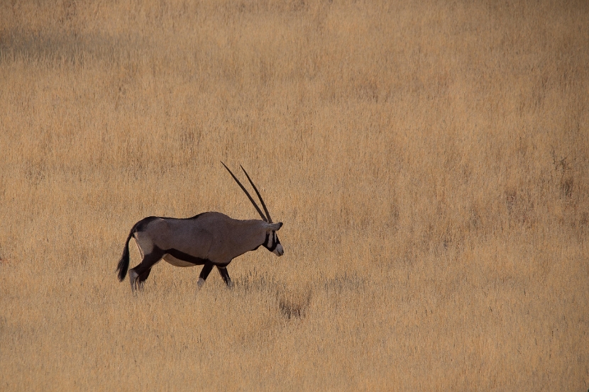 namibia-3