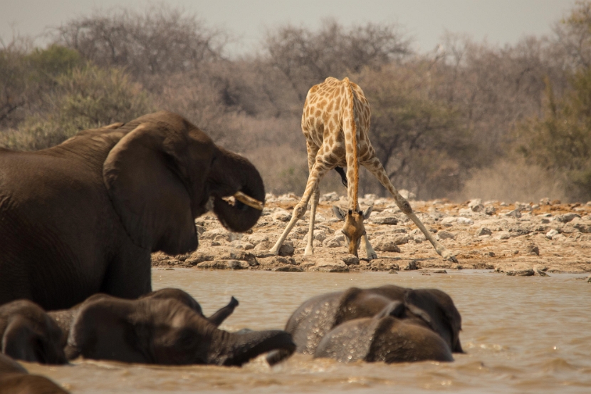 namibia-35