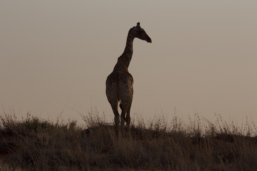 namibia-4