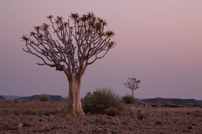 namibia-8