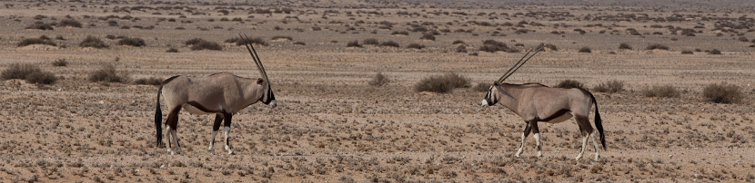 namibia-9