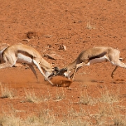 Namibia