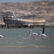namibia-15.jpg