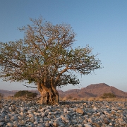namibia-17.jpg