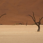 namibia-19.jpg