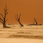 namibia-20.jpg