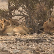 namibia-27.jpg